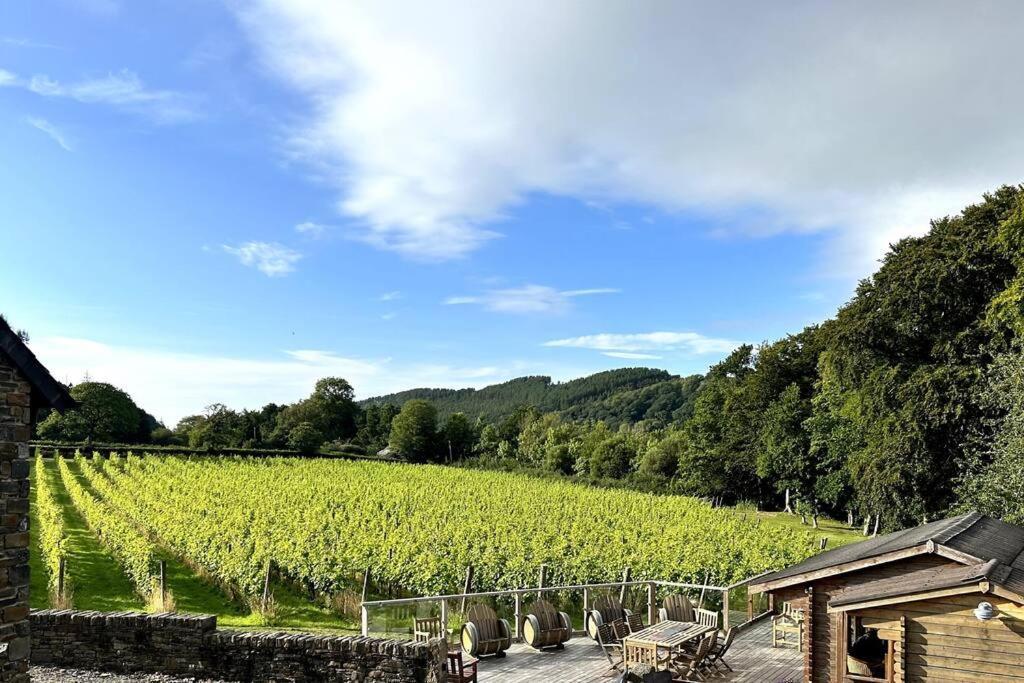 Vineyard Country Cottage Llanerch-Aeron エクステリア 写真