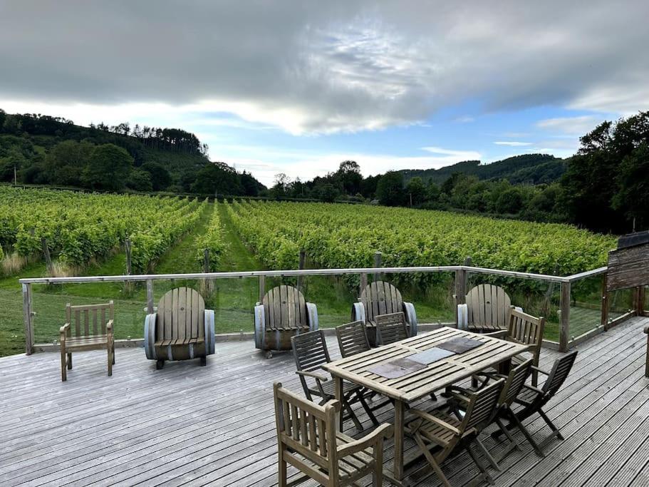 Vineyard Country Cottage Llanerch-Aeron エクステリア 写真