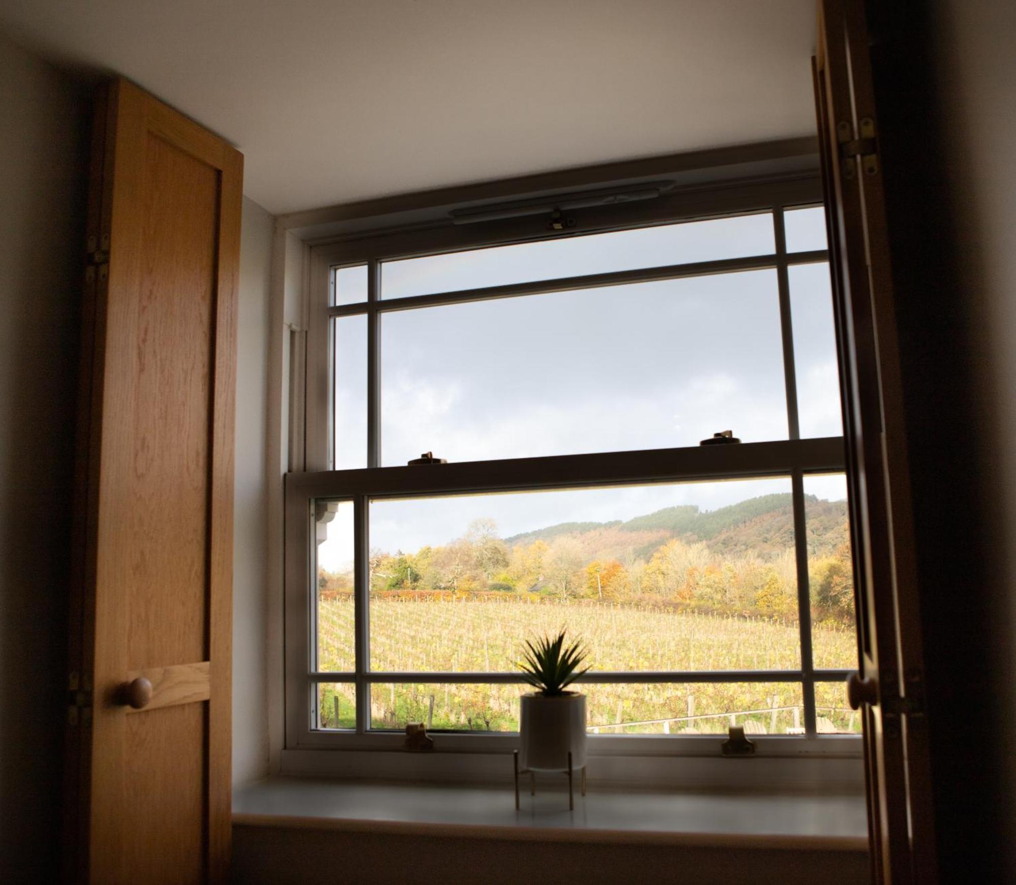 Vineyard Country Cottage Llanerch-Aeron エクステリア 写真